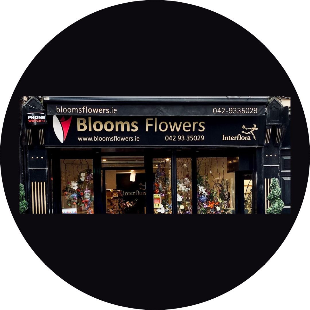 Blooms Flowers